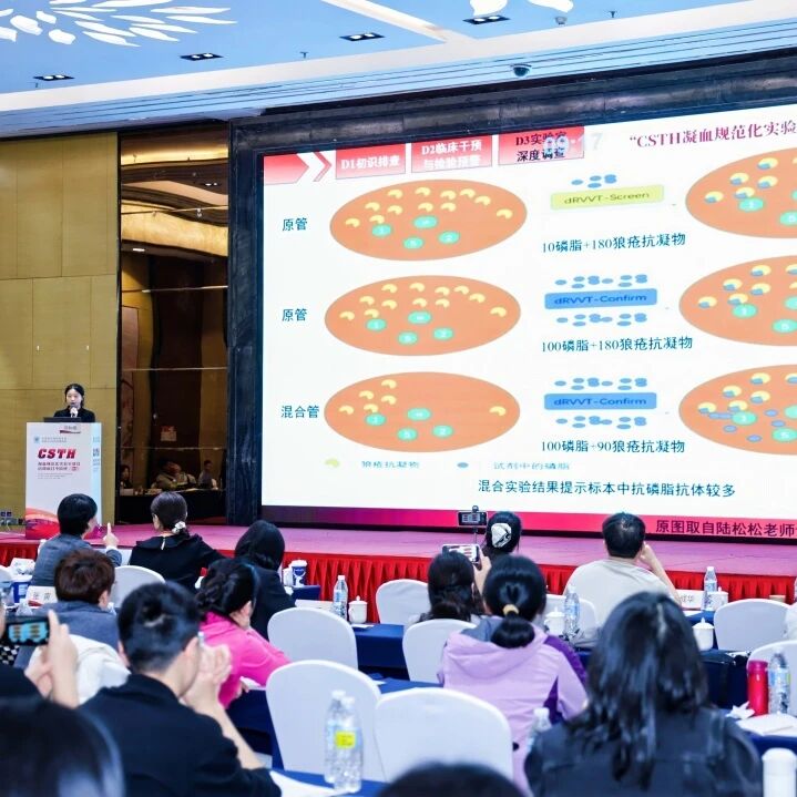 Stake��ڡ�(�й���)���޹�˾����